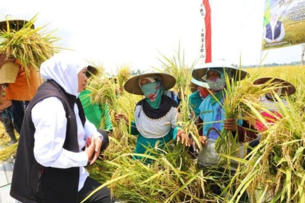 Khofifah optimistis kesejahteraan dan produktivitas petani Jatim naik